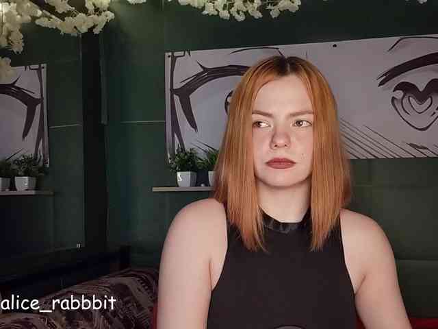 AliceRabbit webcam