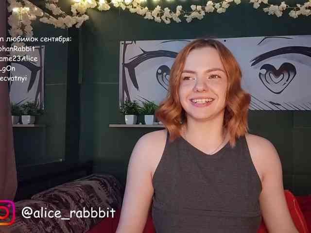AliceRabbit webcam