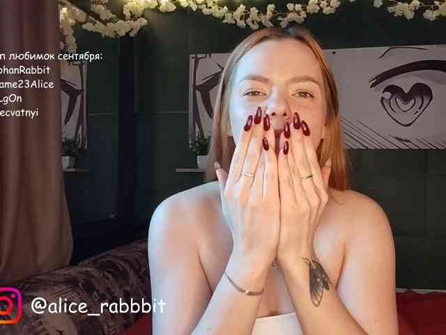 AliceRabbit