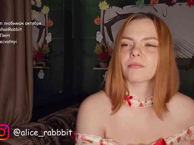 AliceRabbit AliceRabbit
