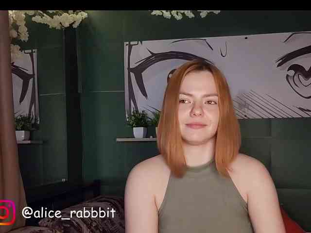 AliceRabbit webcam