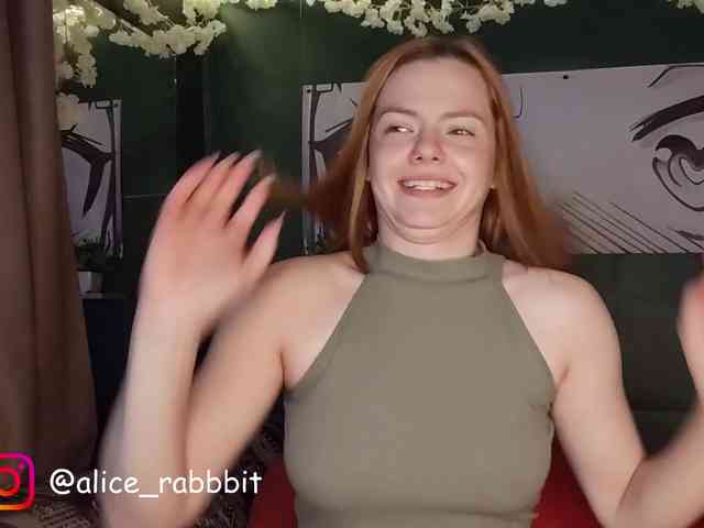 AliceRabbit webcam