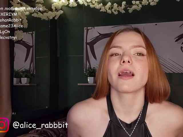 AliceRabbit