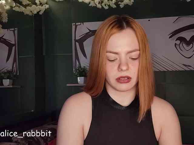 AliceRabbit AliceRabbit