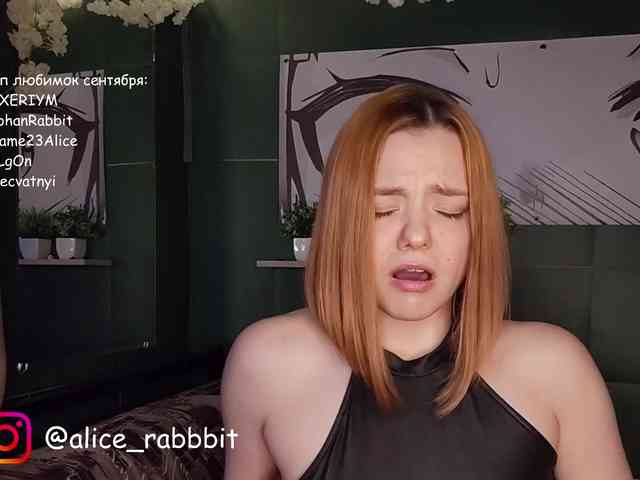 AliceRabbit