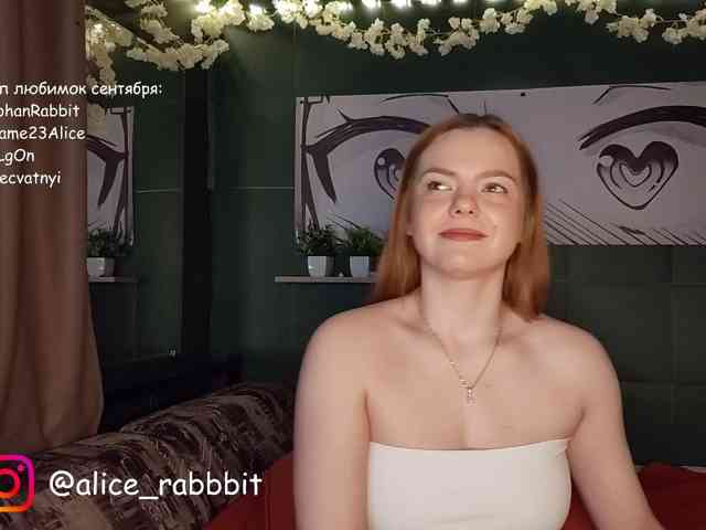 AliceRabbit webcam