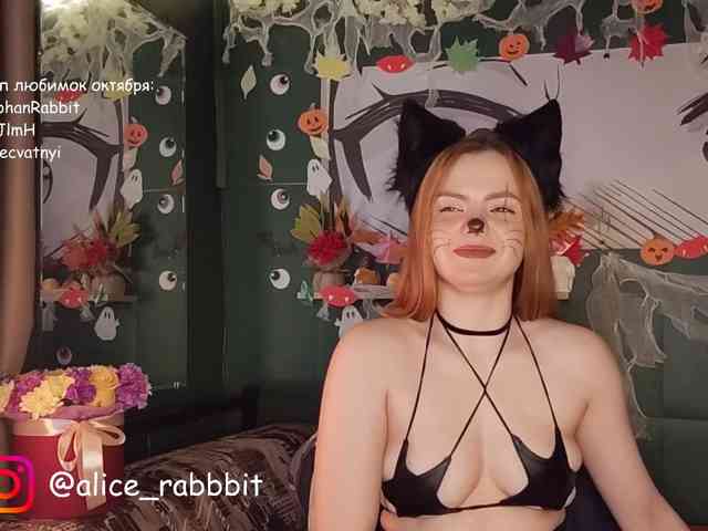 AliceRabbit