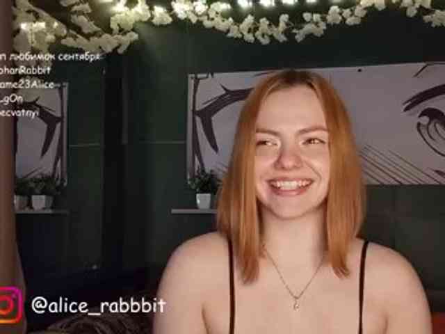 AliceRabbit webcam