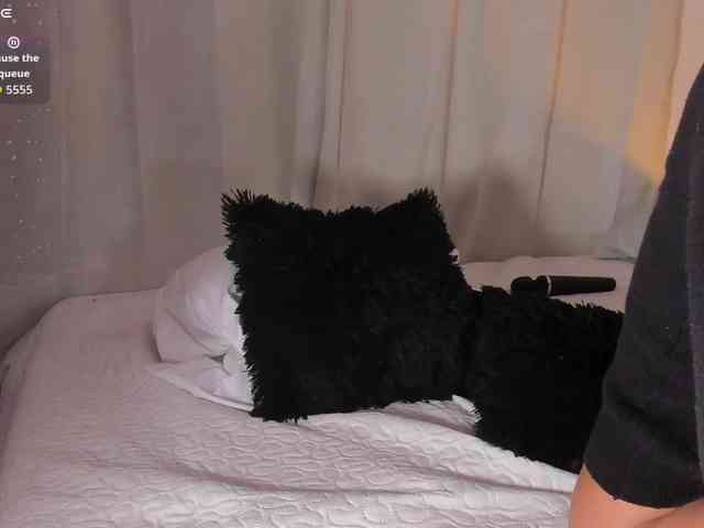 RosseeDaw webcam
