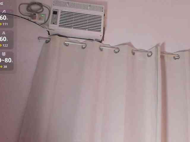 RosseeDaw webcam