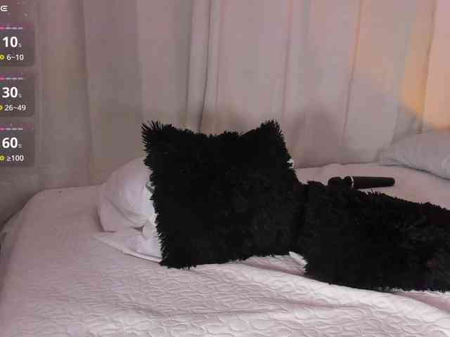 RosseeDaw webcam