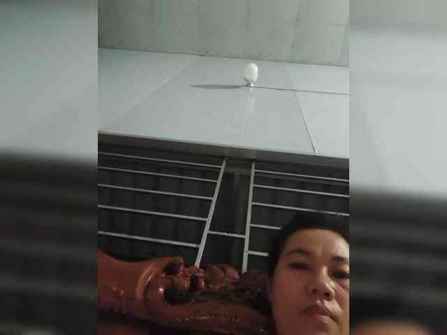 Jangji webcam