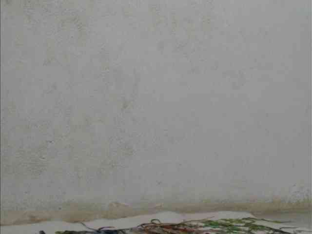 Jangji webcam