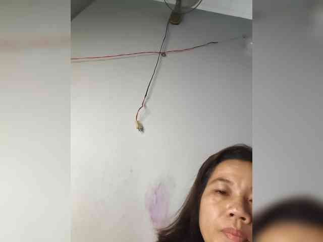 Jangji webcam