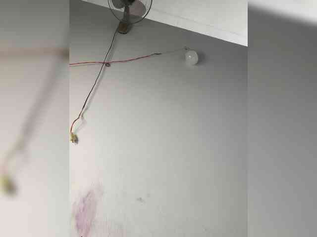 Jangji webcam
