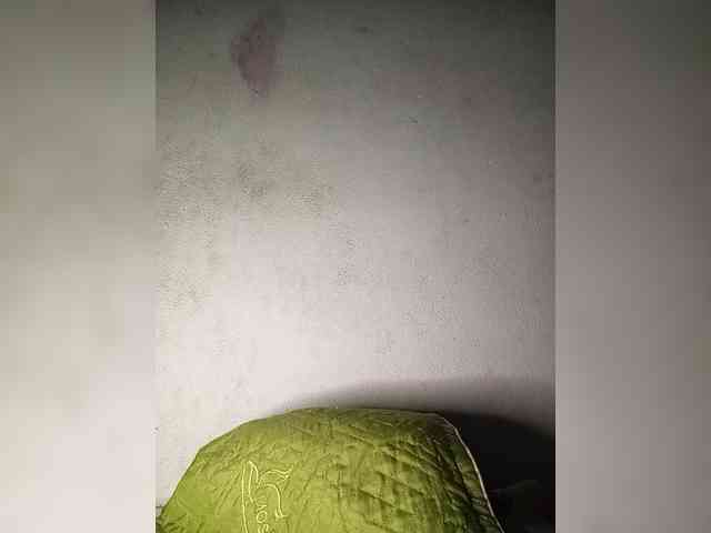 Jangji webcam
