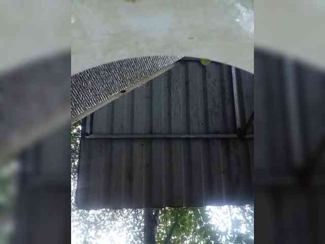 Jangji webcam