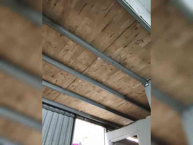 Jangji webcam