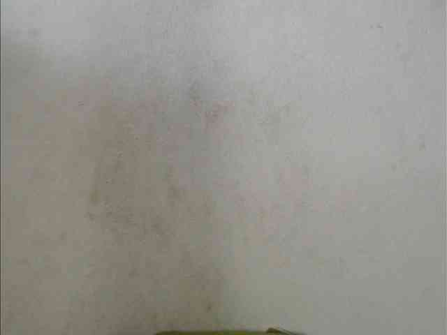 Jangji webcam