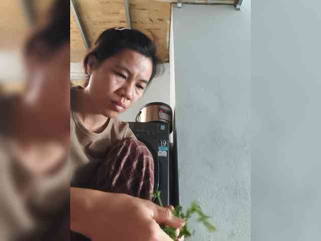 Jangji webcam