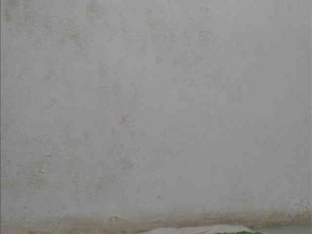 Jangji webcam