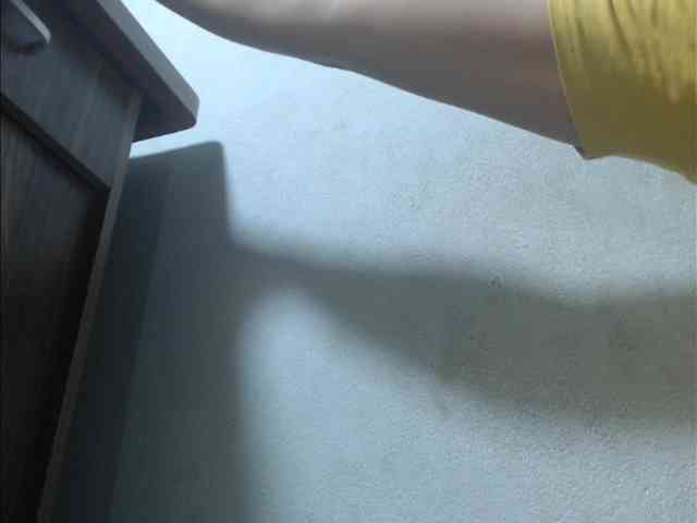 Jangji webcam