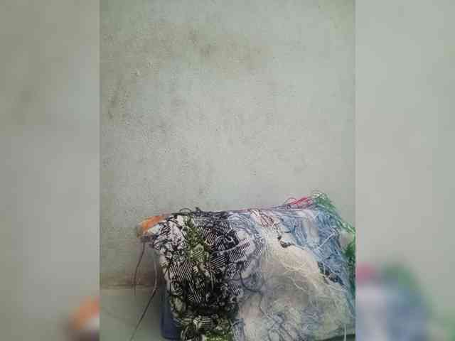 Jangji webcam