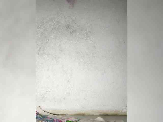 Jangji webcam