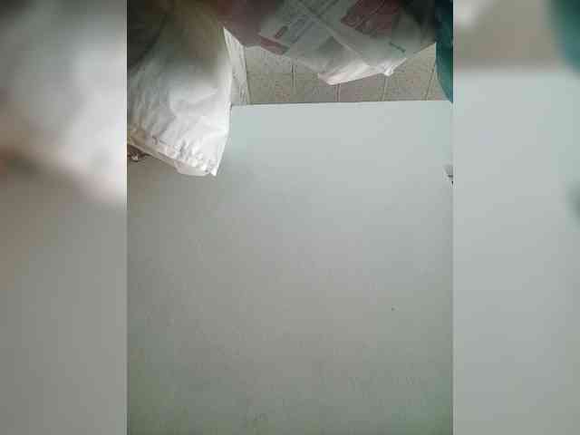 Jangji webcam