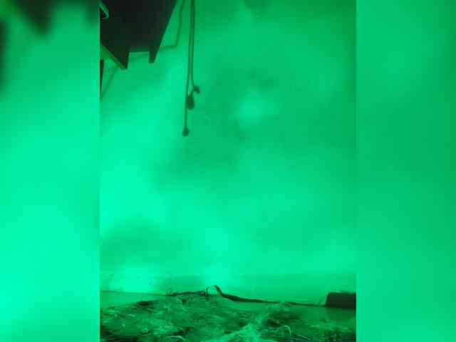 Jangji webcam