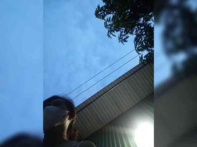 Jangji webcam