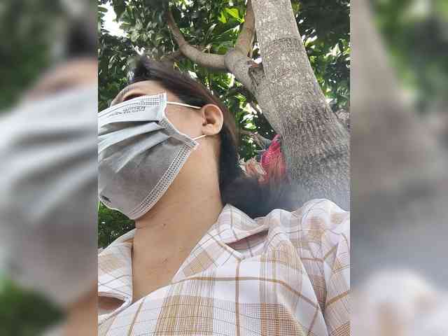 Jangji webcam