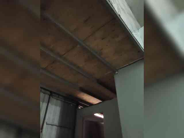 Jangji webcam