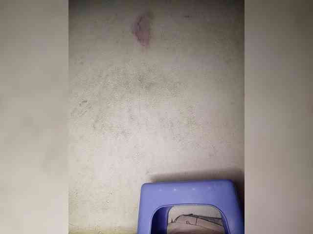 Jangji webcam