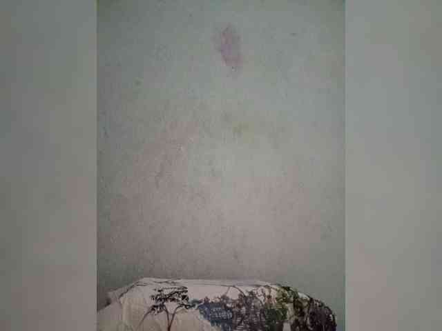 Jangji webcam