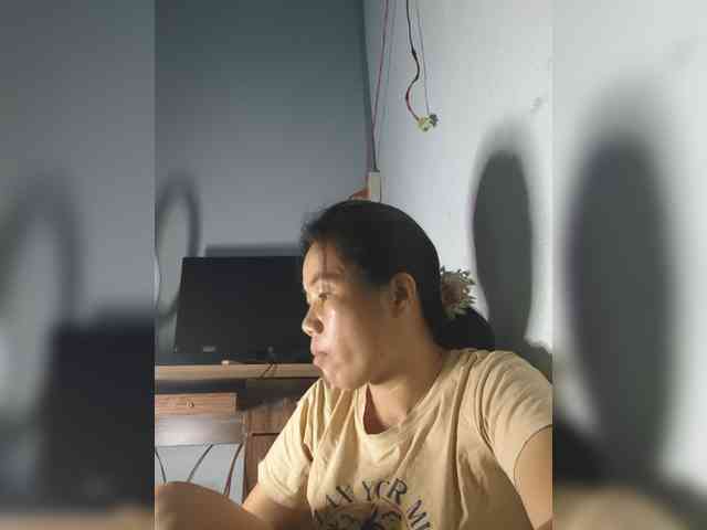 summer-sun webcam