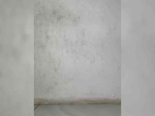 Jangji webcam