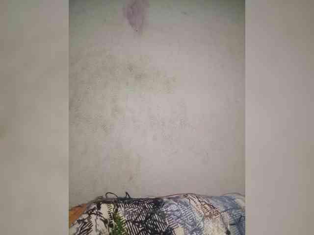 Jangji webcam