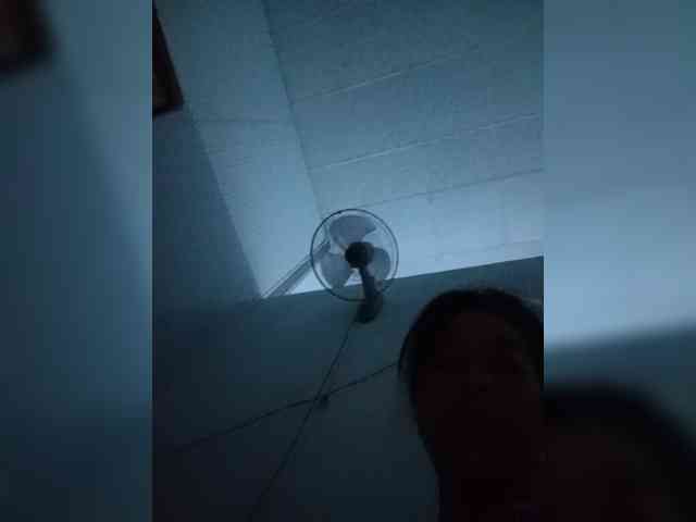 Jangji webcam