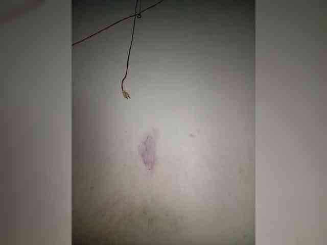 Jangji webcam