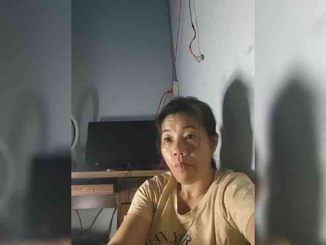 summer-sun webcam