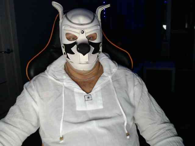 bearandbunny8 bearandbunny8