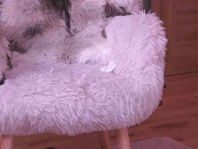 JoanneSpoilMe webcam