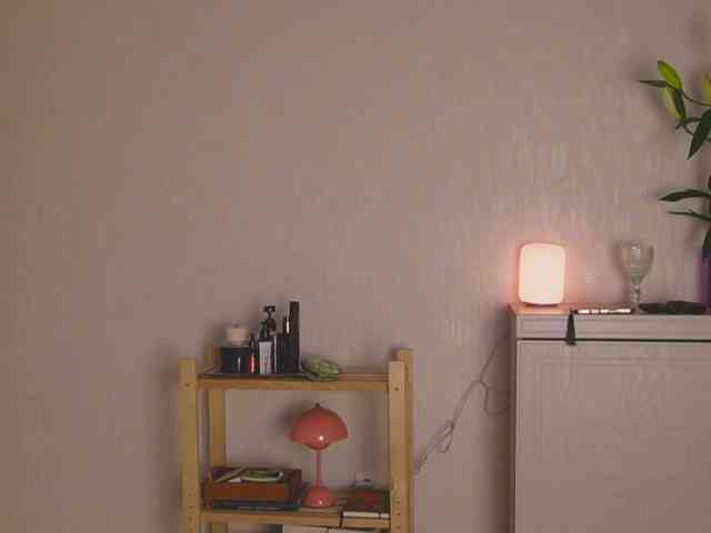 tashamiu webcam