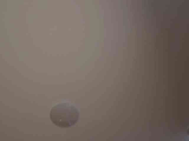tashamiu webcam