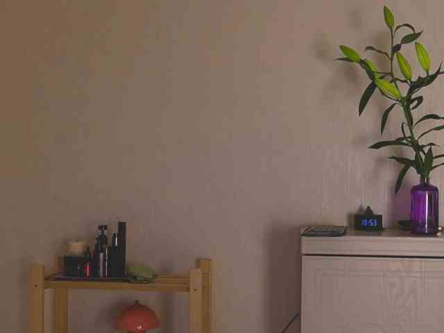 tashamiu webcam