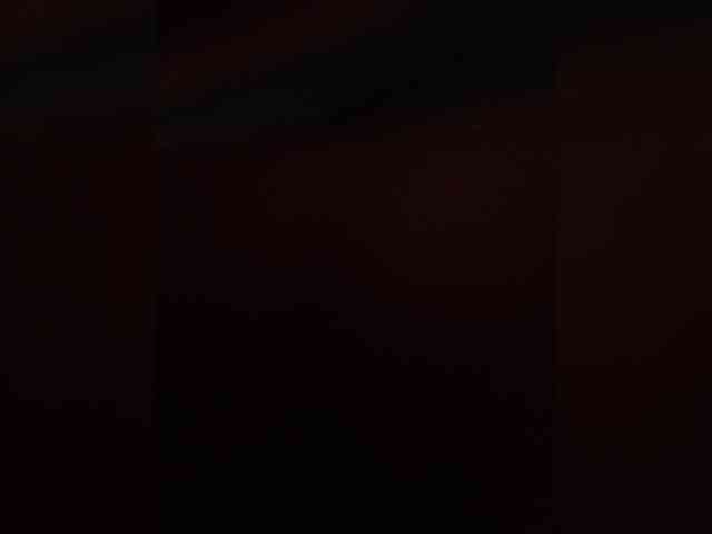 -Frida- webcam