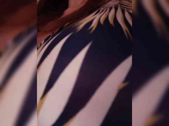 -Frida- webcam