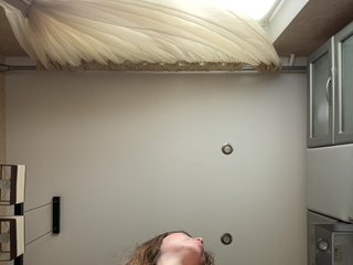xxxxxsexxxxxx