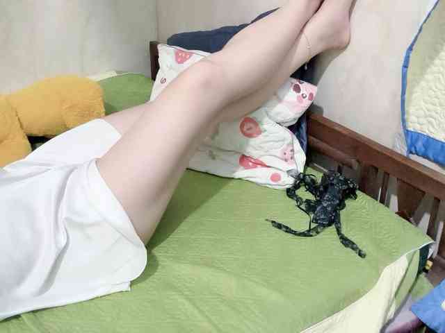Linh97 webcam